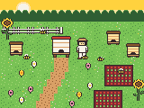 Waggle & Bloom — Hollow Hill Apiary